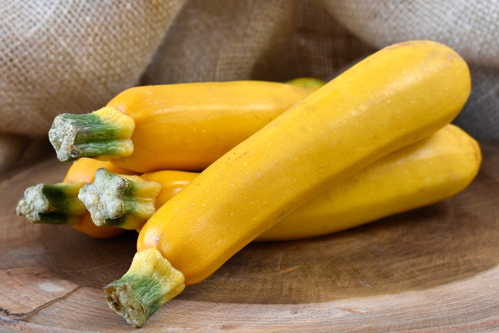Gourmet Gold zucchini