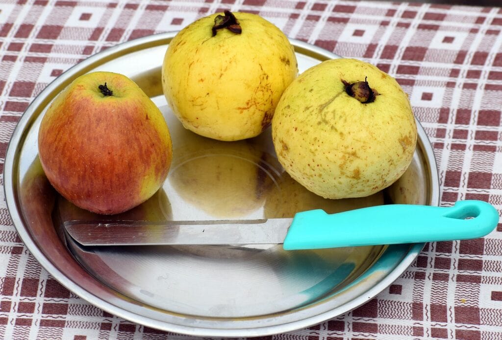 Hong Kong Guava with Apple