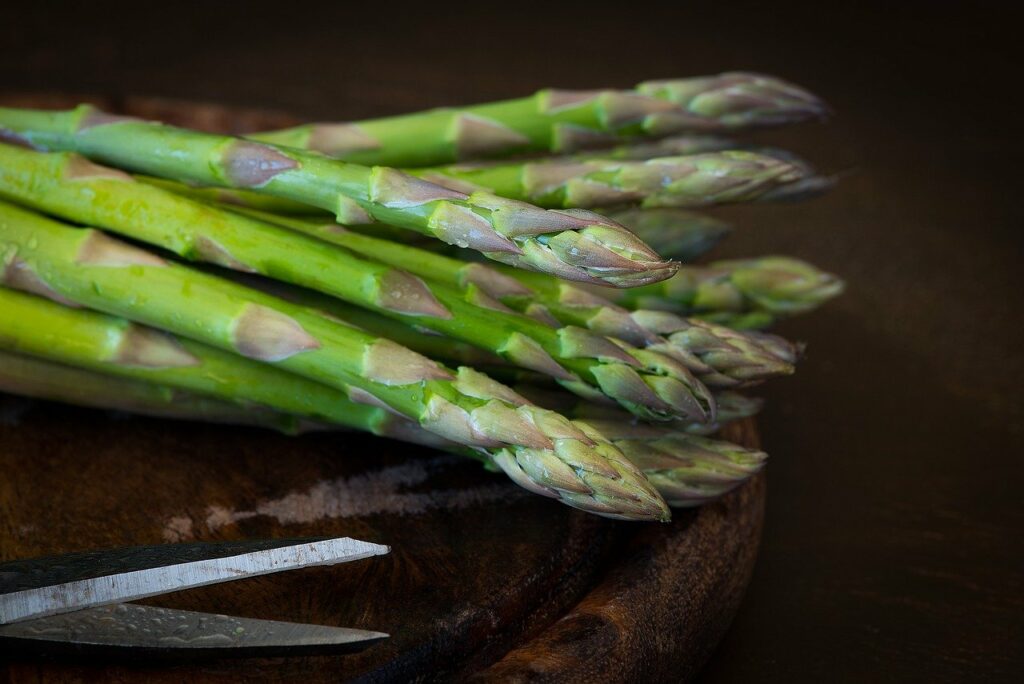 Jersey Giant Asparagus