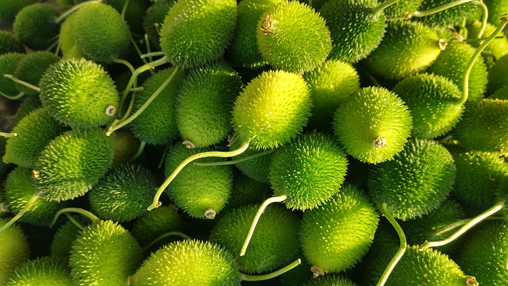 Kantola Melon in the street market