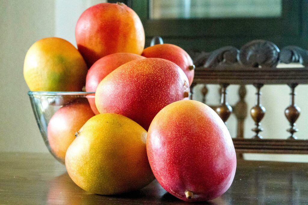 Kent Mango