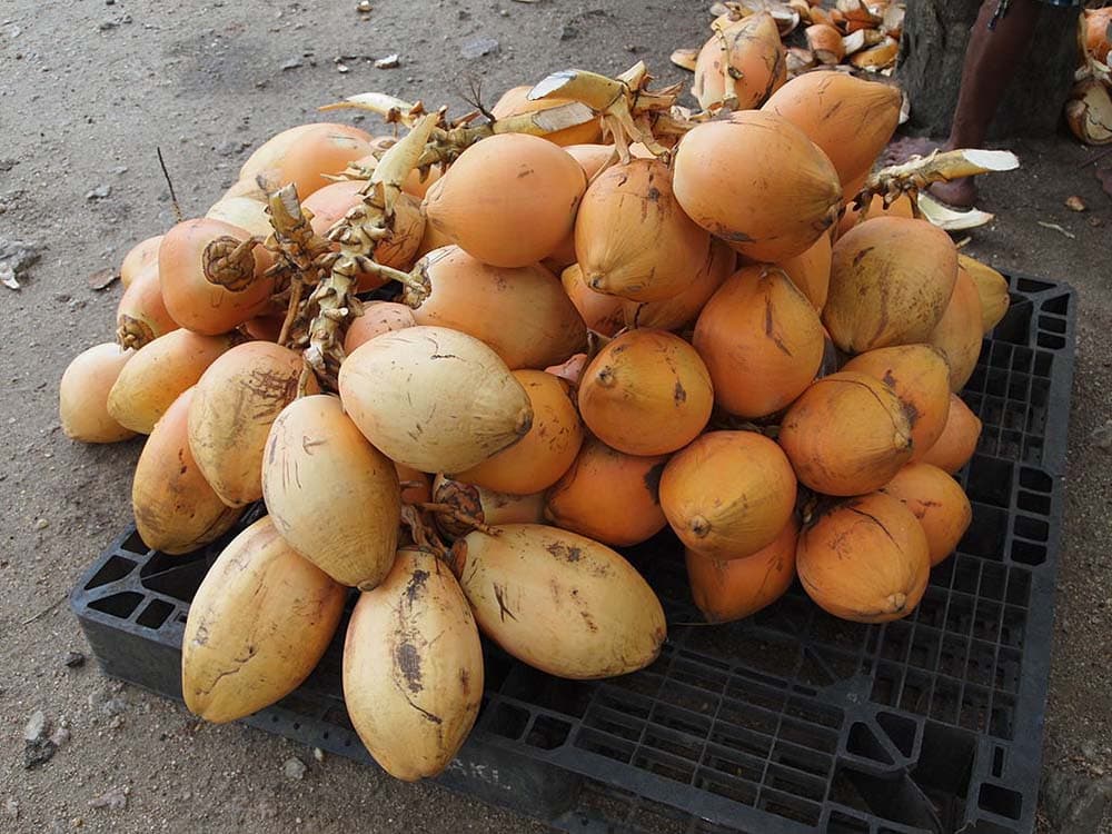 King Coconut