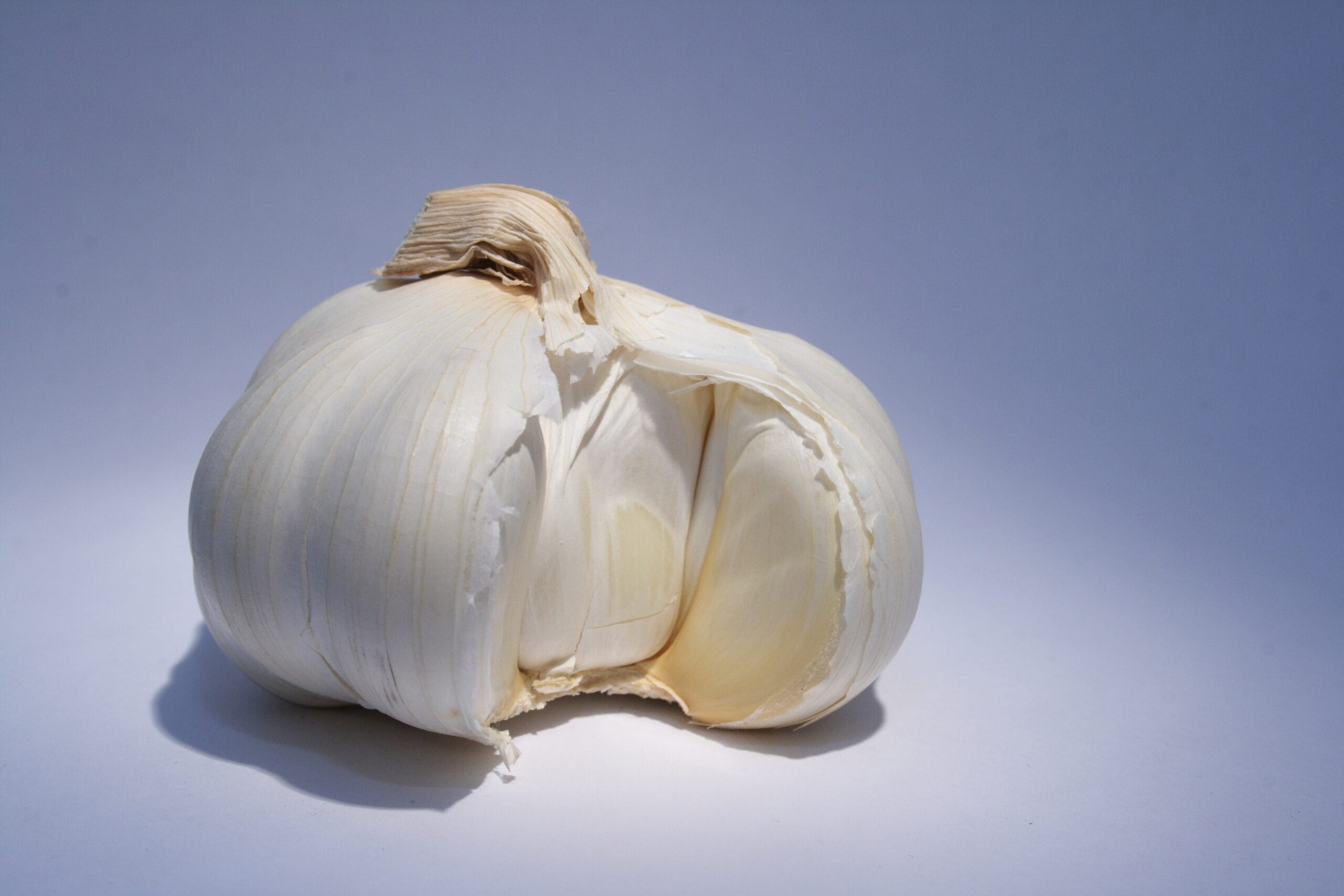 Korean Red garlic