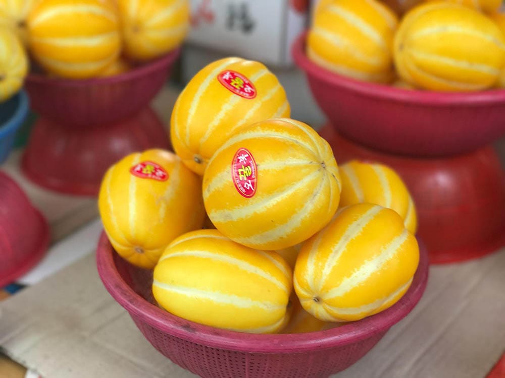 Korean melon