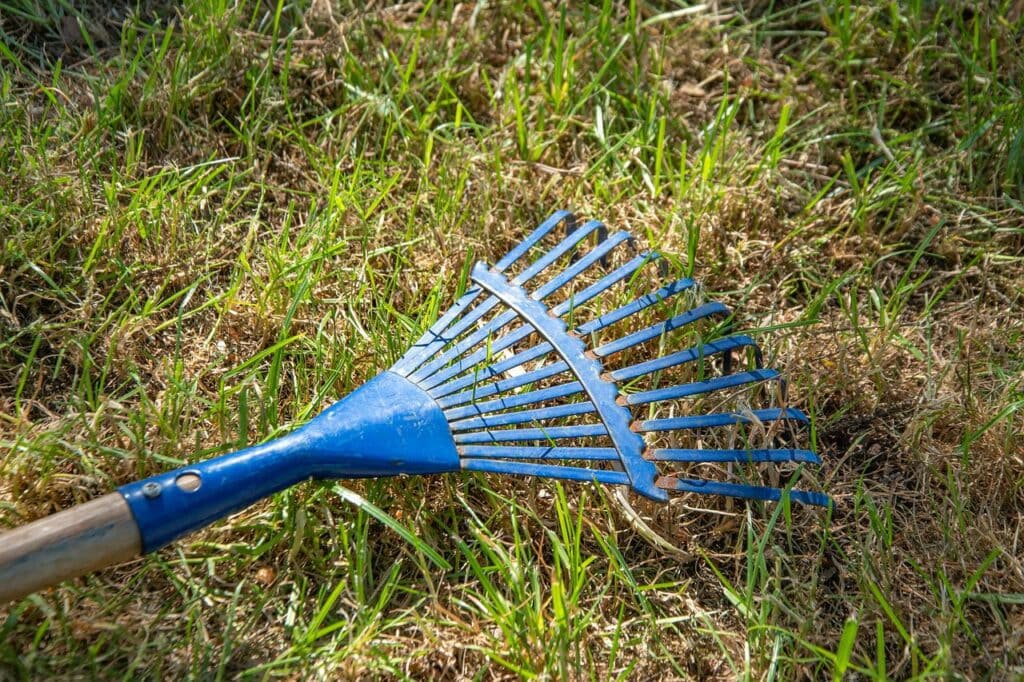 Lawn Rake
