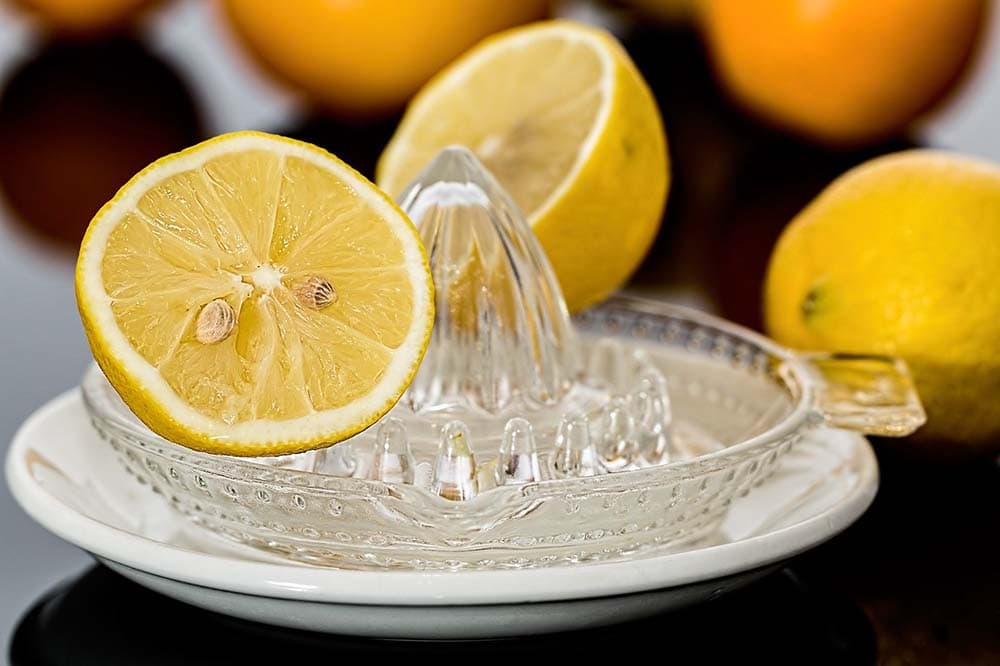 Lemon Juice Squeezer