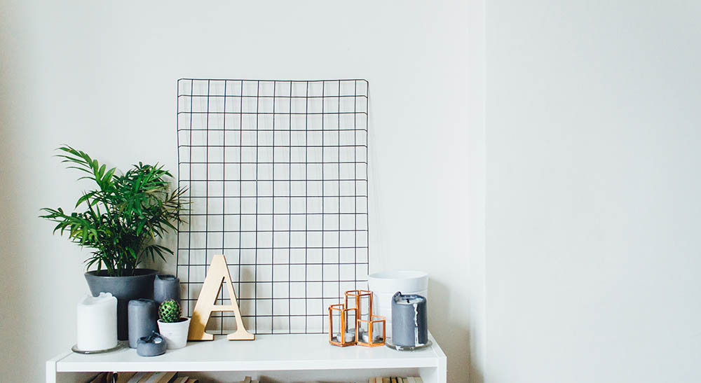 Living room design with plant_John Mark Arnold_Unsplash