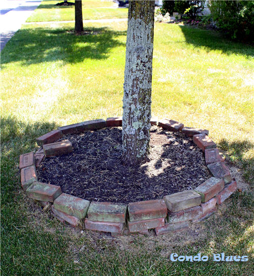 Make A Tree Circle- condo blues