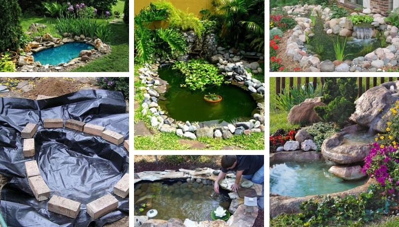 Make a DIY Shallow Pond- my desired home