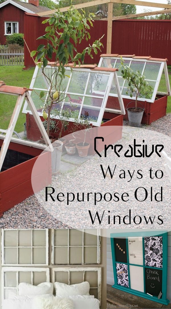 Mini Greenhouses- how to buildit
