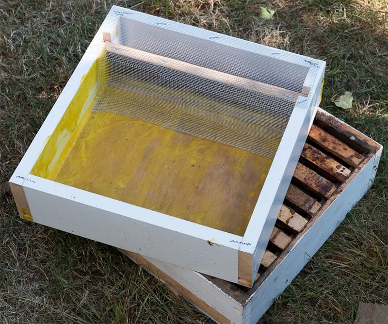 No-Drown, Large Top Feeder