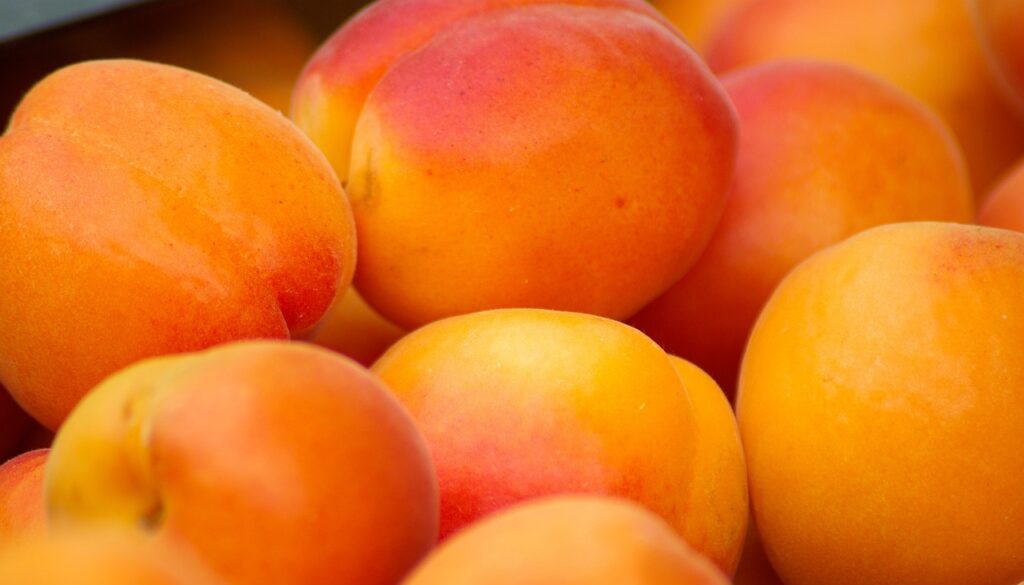 Orange Red apricot
