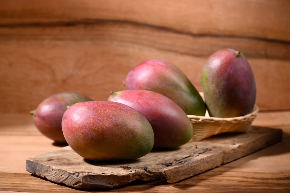 Palmer mango