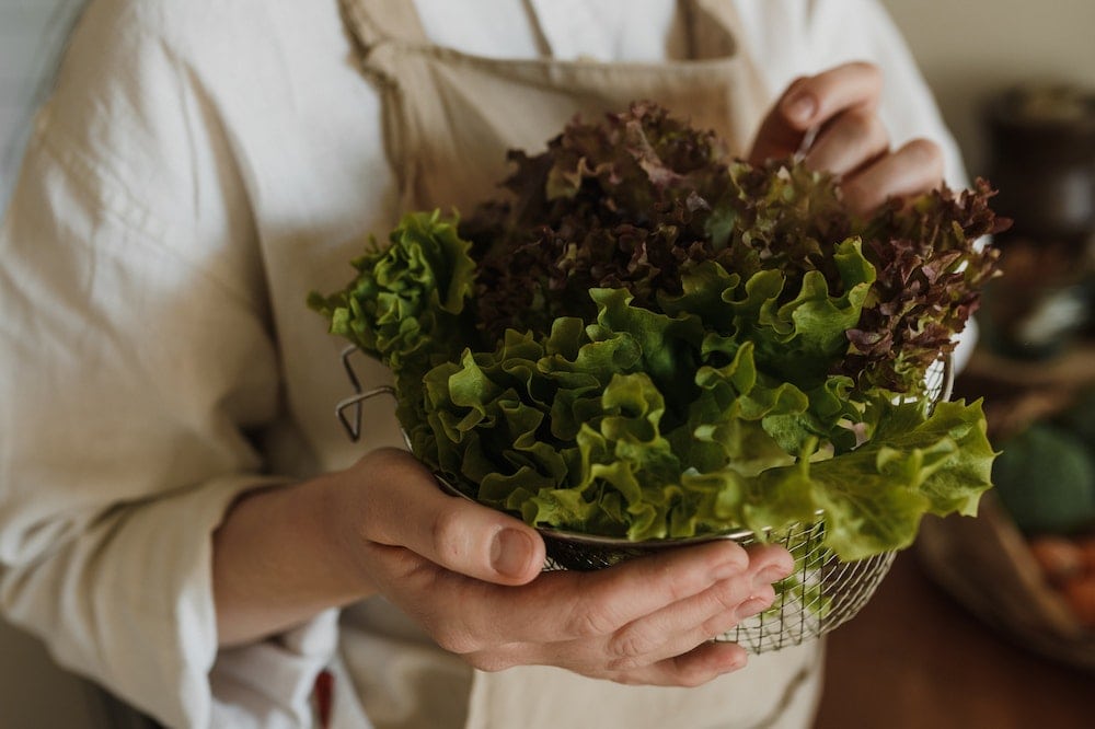 Person holding a lettuce