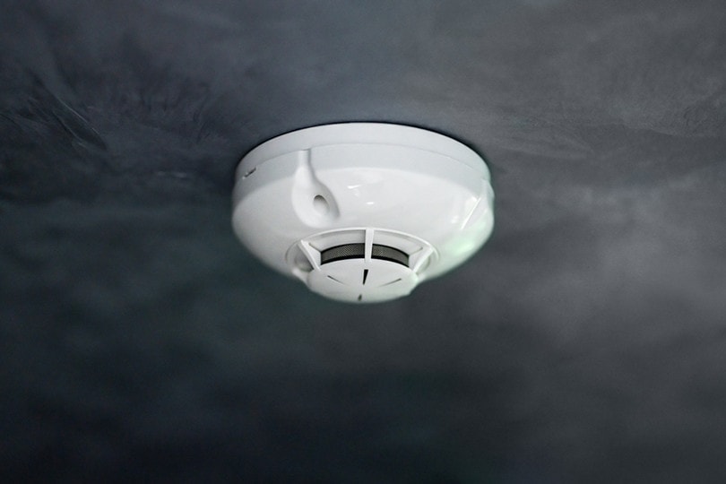 Photoelectric Smoke Detector