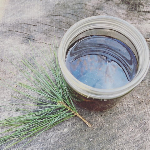 Pine Needle Cough Syrup- red moon herbs