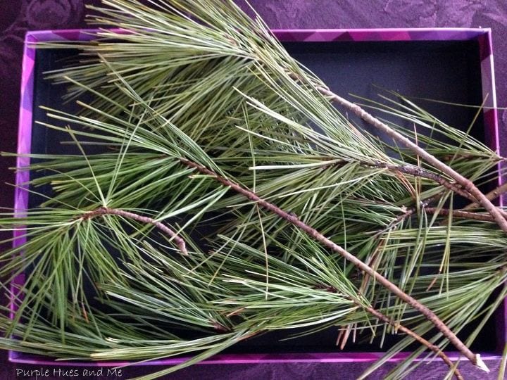 Pine Needle Facial Toner- hometalk