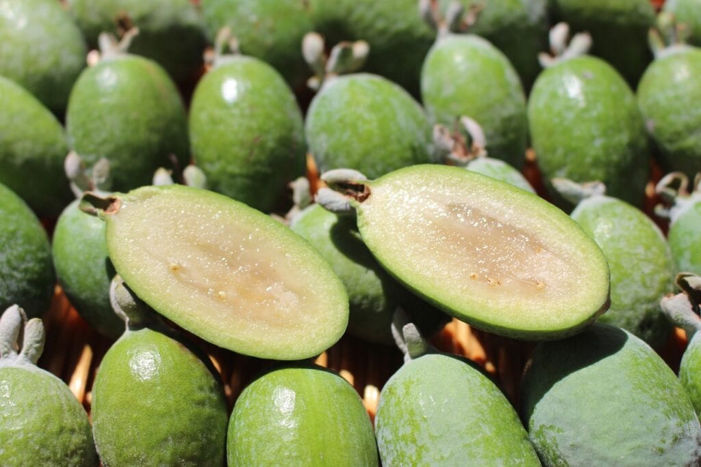 Pineapple Guava