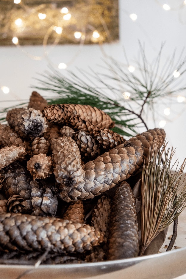 Scented Pine Cones- the art of doing stuff