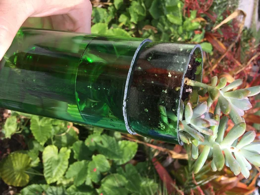 Self Watering WINE BOTTLE Planter