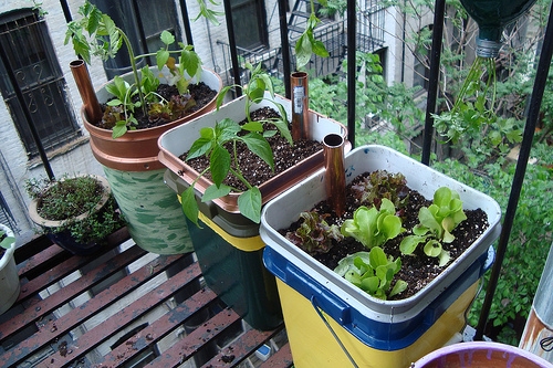 Self-watering containers