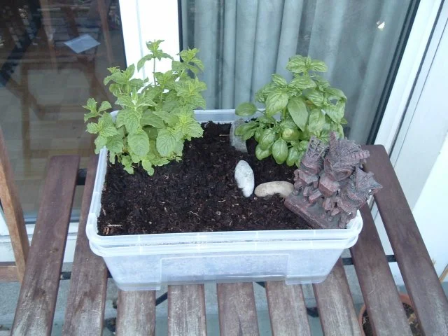 Self-watering mini garden