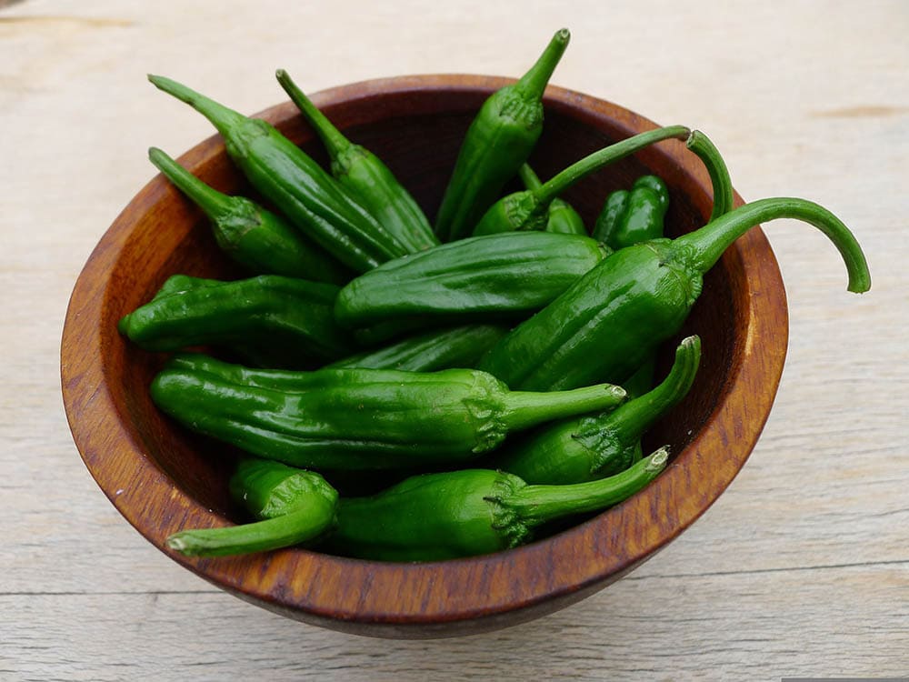 Shishito peppers in a bowl