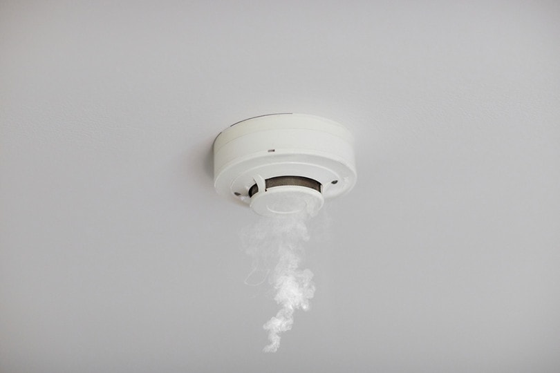 Smoke Detector