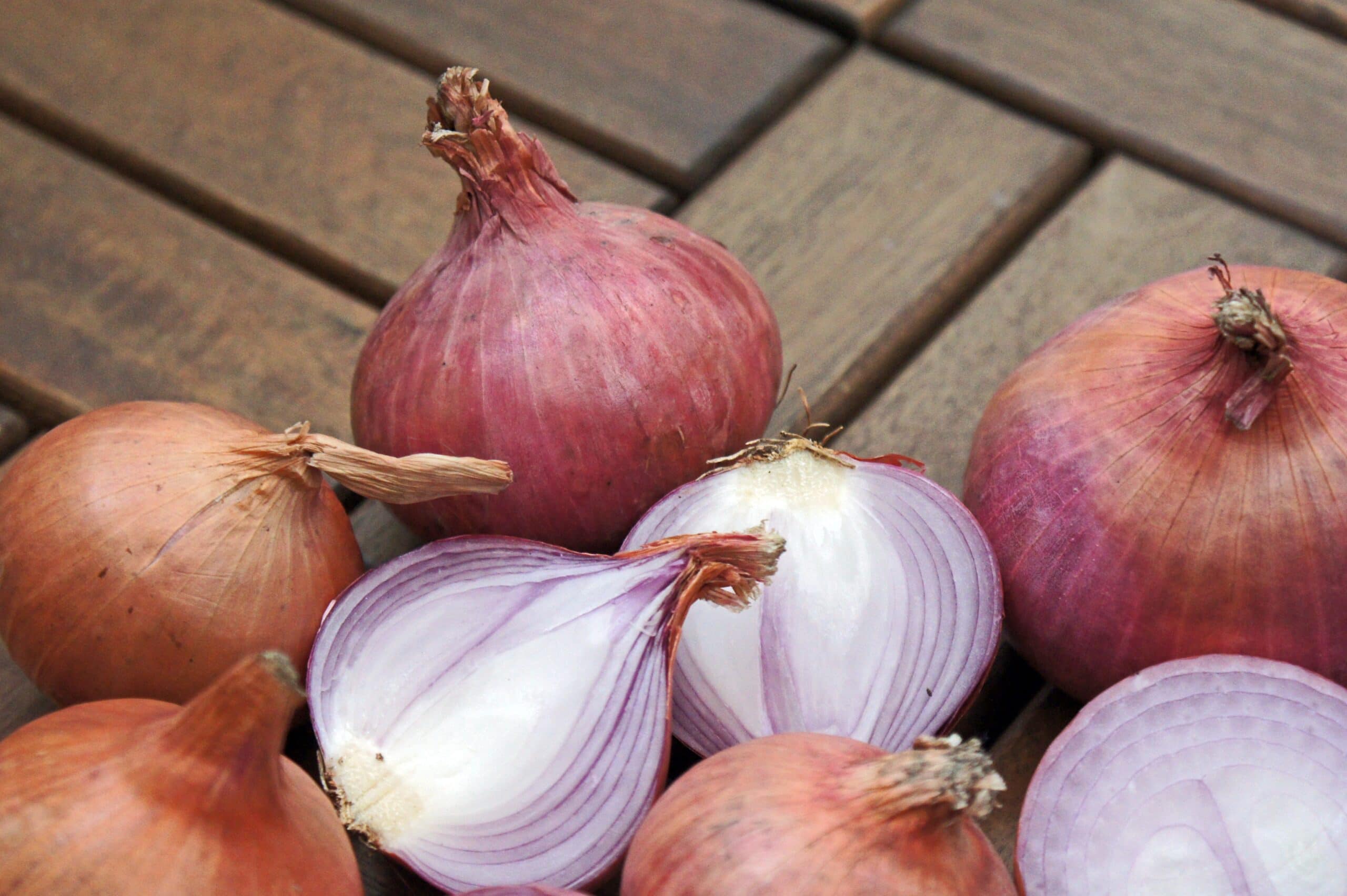 Southport Red Globe Onion