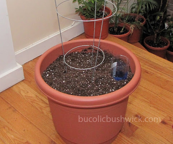 Standard self-watering planter