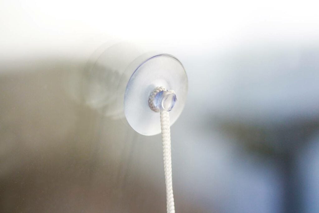 Suction Cup