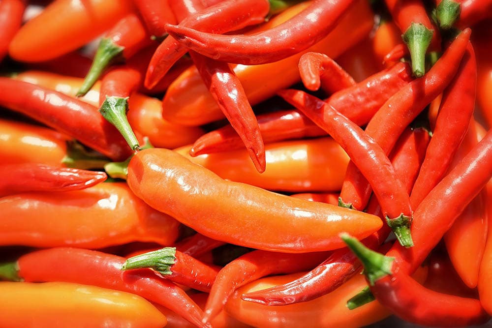 Thai chili pepper