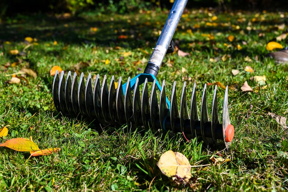 Thatch rake