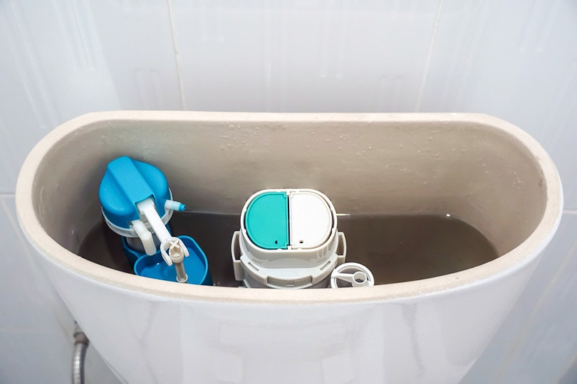 Toilet valve