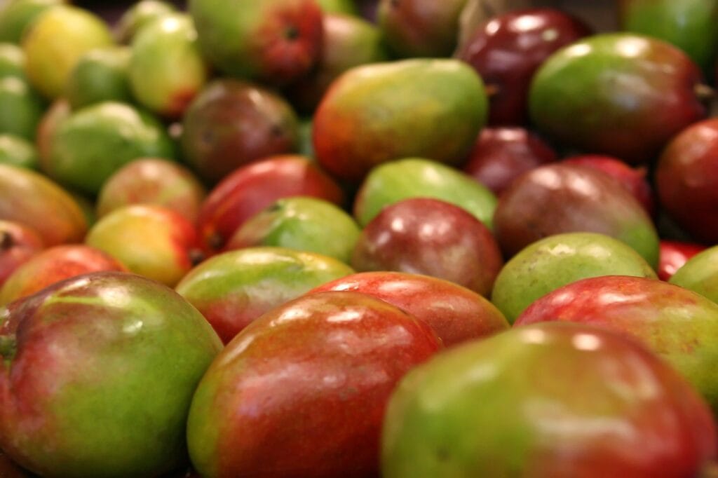 Tommy Atkins Mango