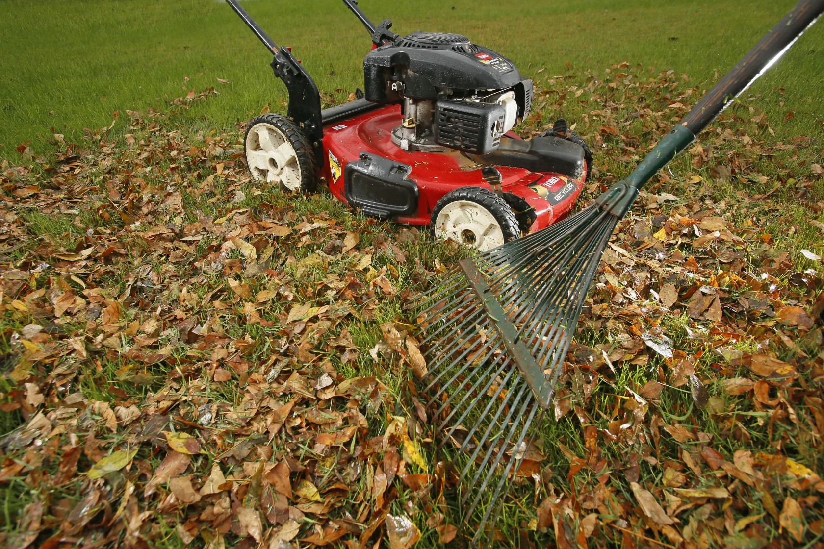 Turn Them Into Lawn Feed- duluth news tribune