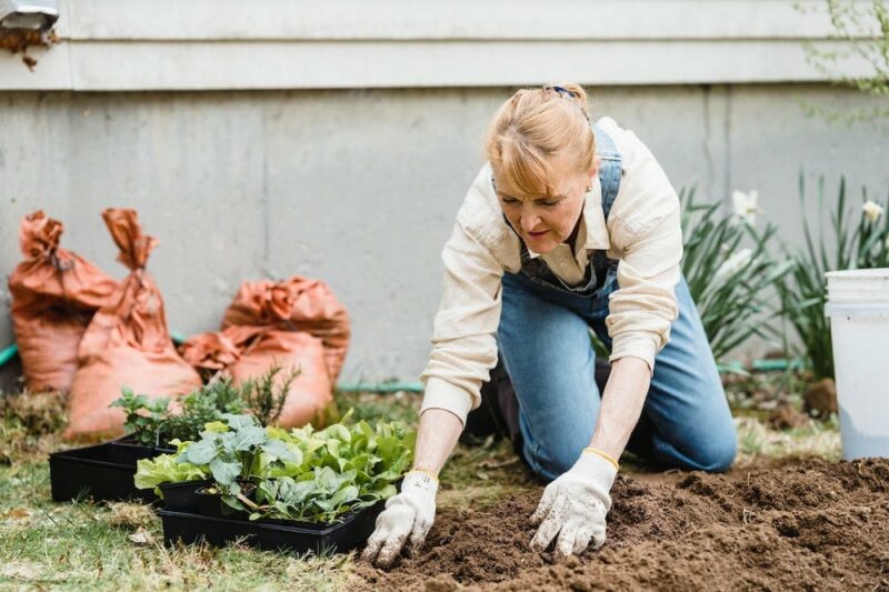 Woman gardening