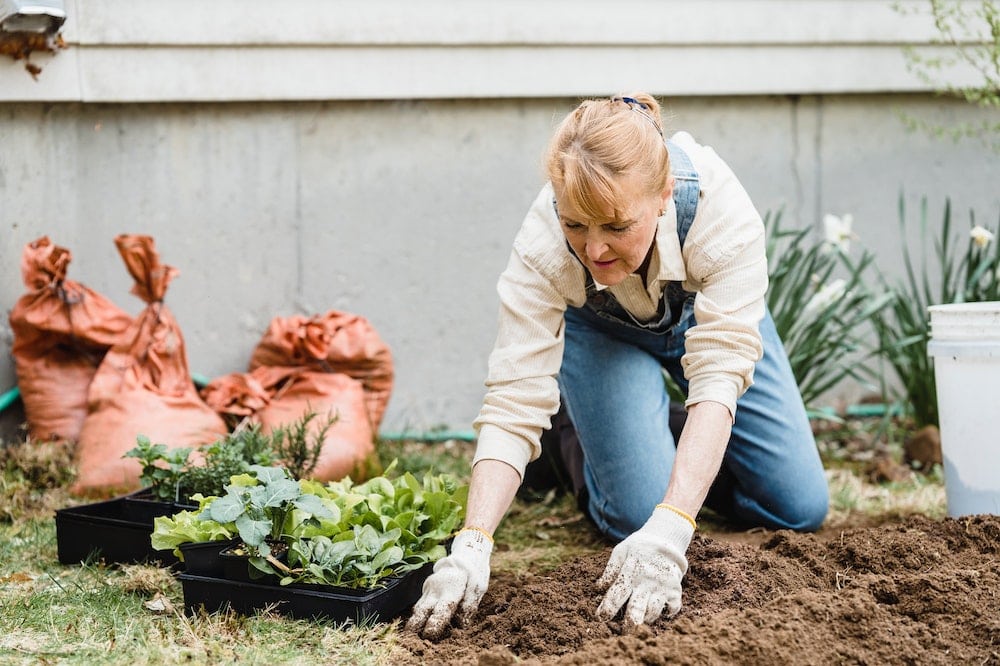 Woman gardening