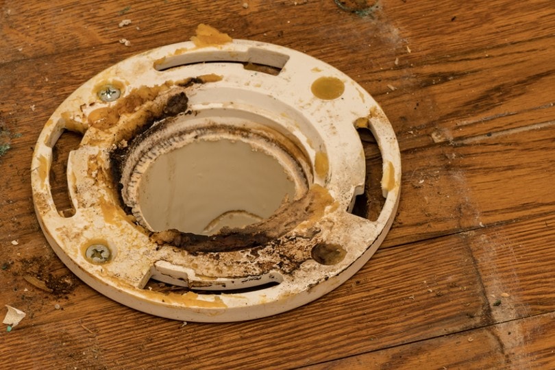 a used and dirty toilet flange