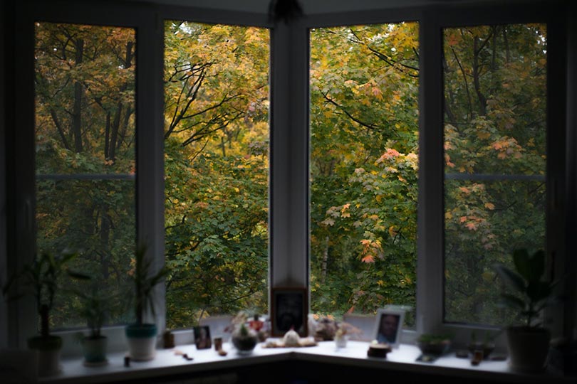 a window overlooking autumn forest