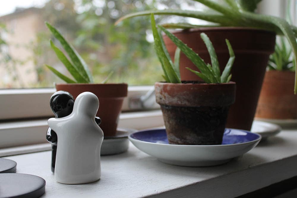 aloe-vera-plant-with-a-couple-figurine_Birgit_H_Pixabay