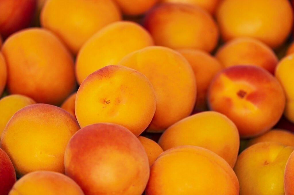 apache apricot
