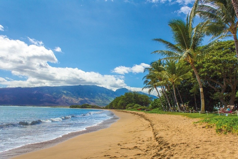 beautiful beach in Hawaii