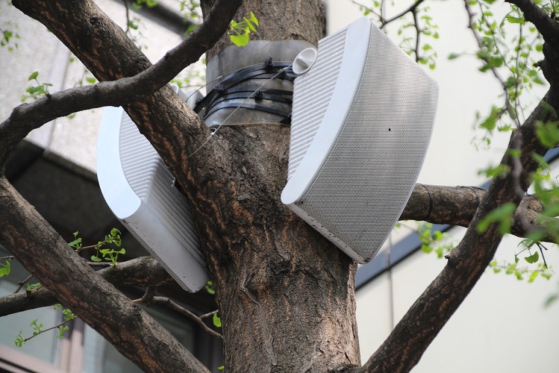 bird control sound repellent