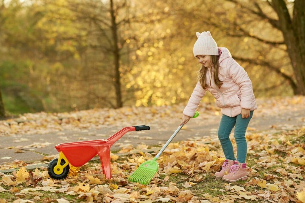 childs rake