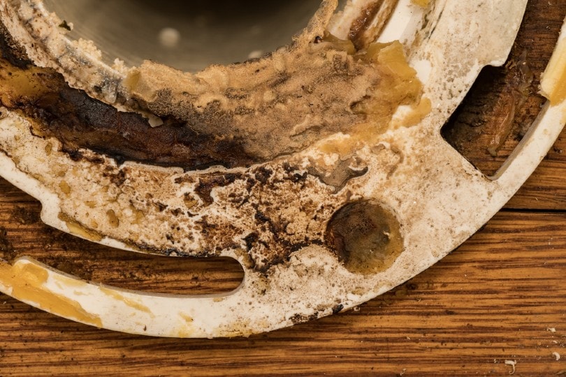 close up of a toilet flange