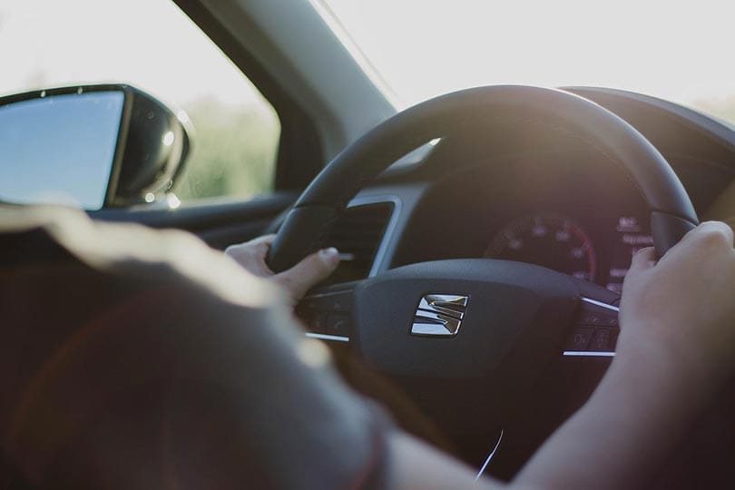driver holding the steering wheel of a car