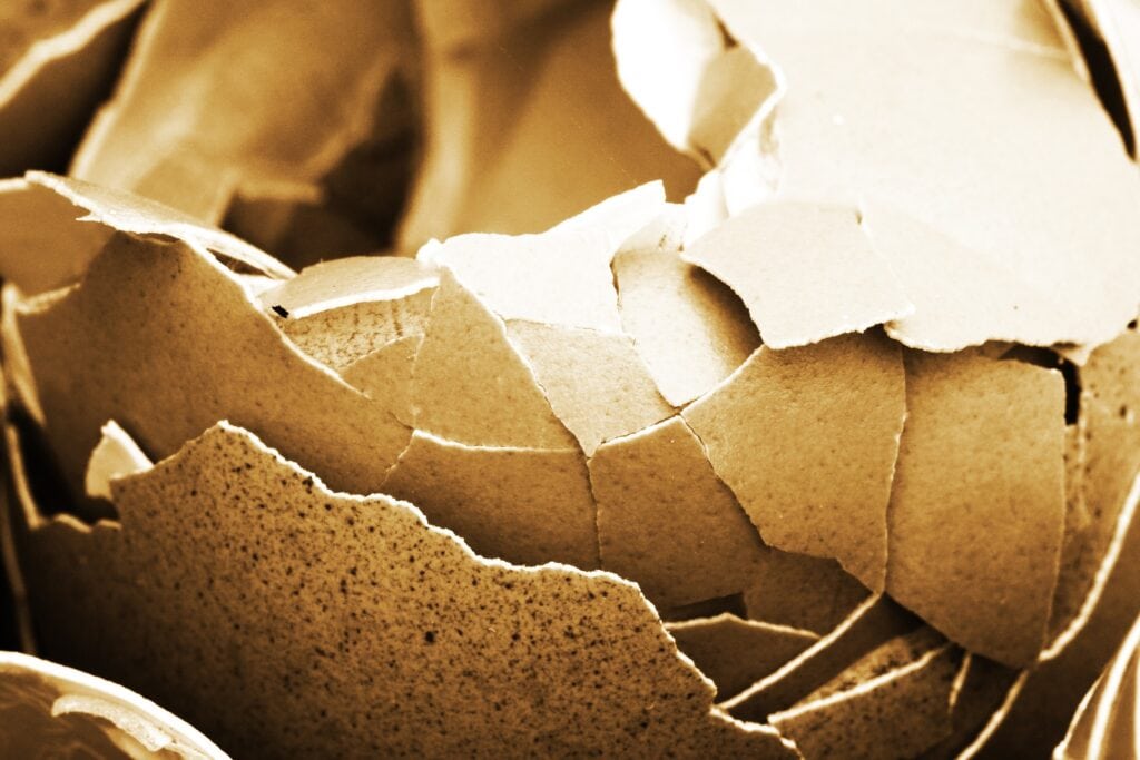 eggshell