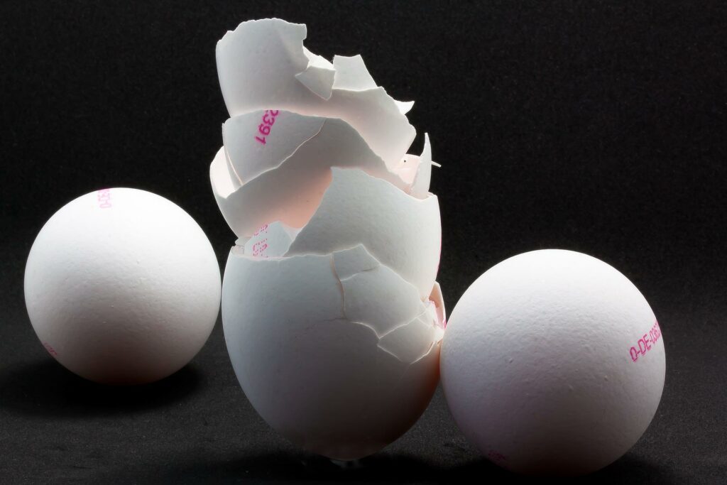 eggshell