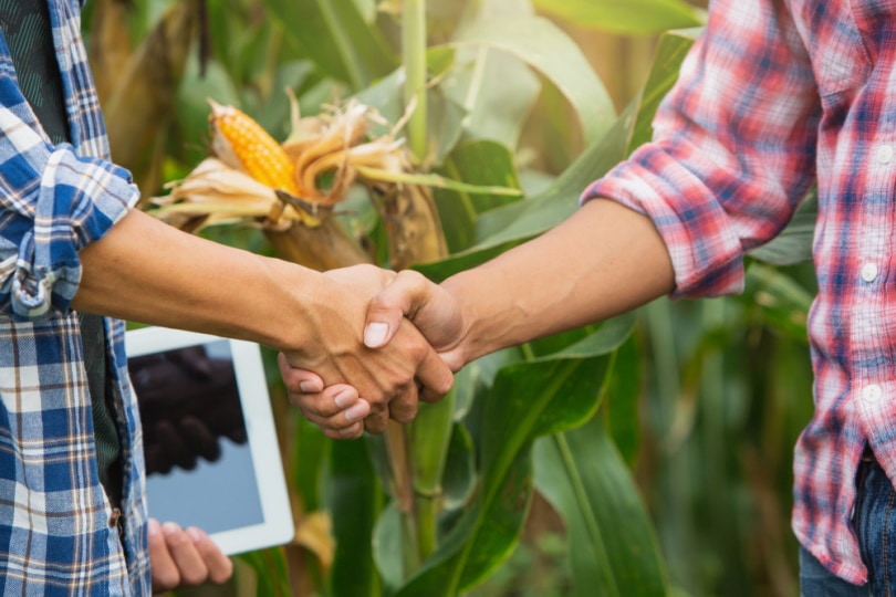 farmers standing and shake hands